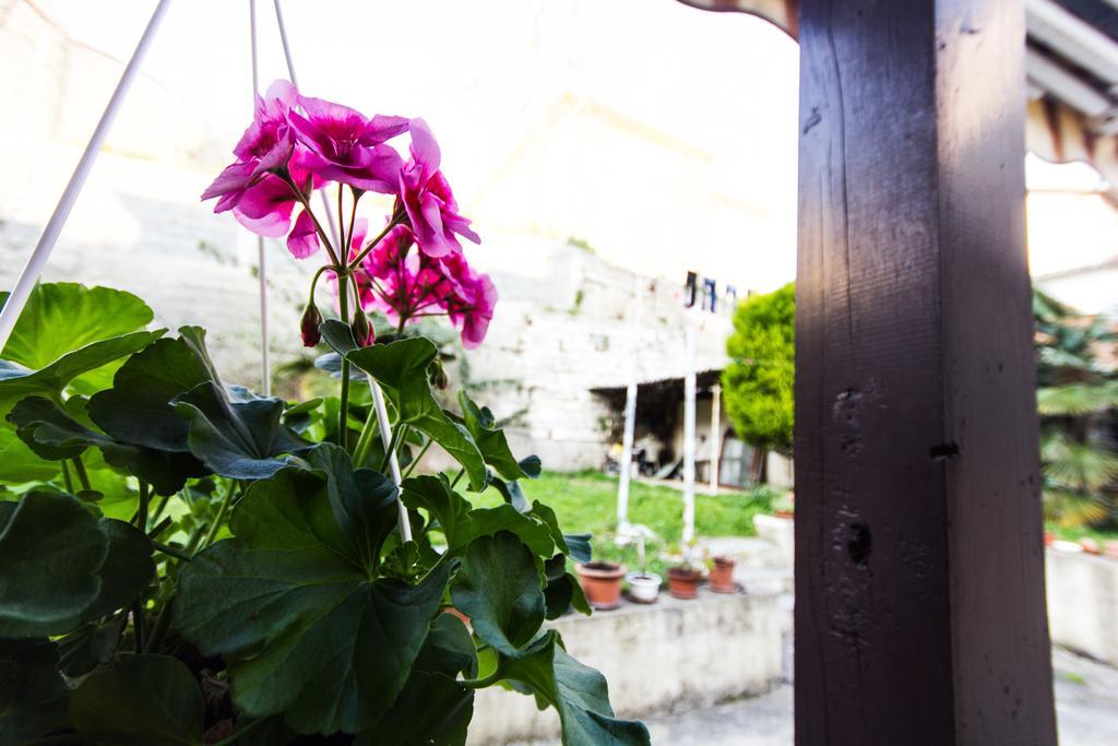 Guesthouse Natalija Пула Екстериор снимка